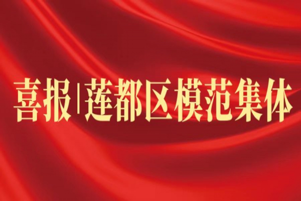 喜報(bào)丨浙江中立建設(shè)榮獲蓮都區(qū)“模范集體”稱號(hào)！
